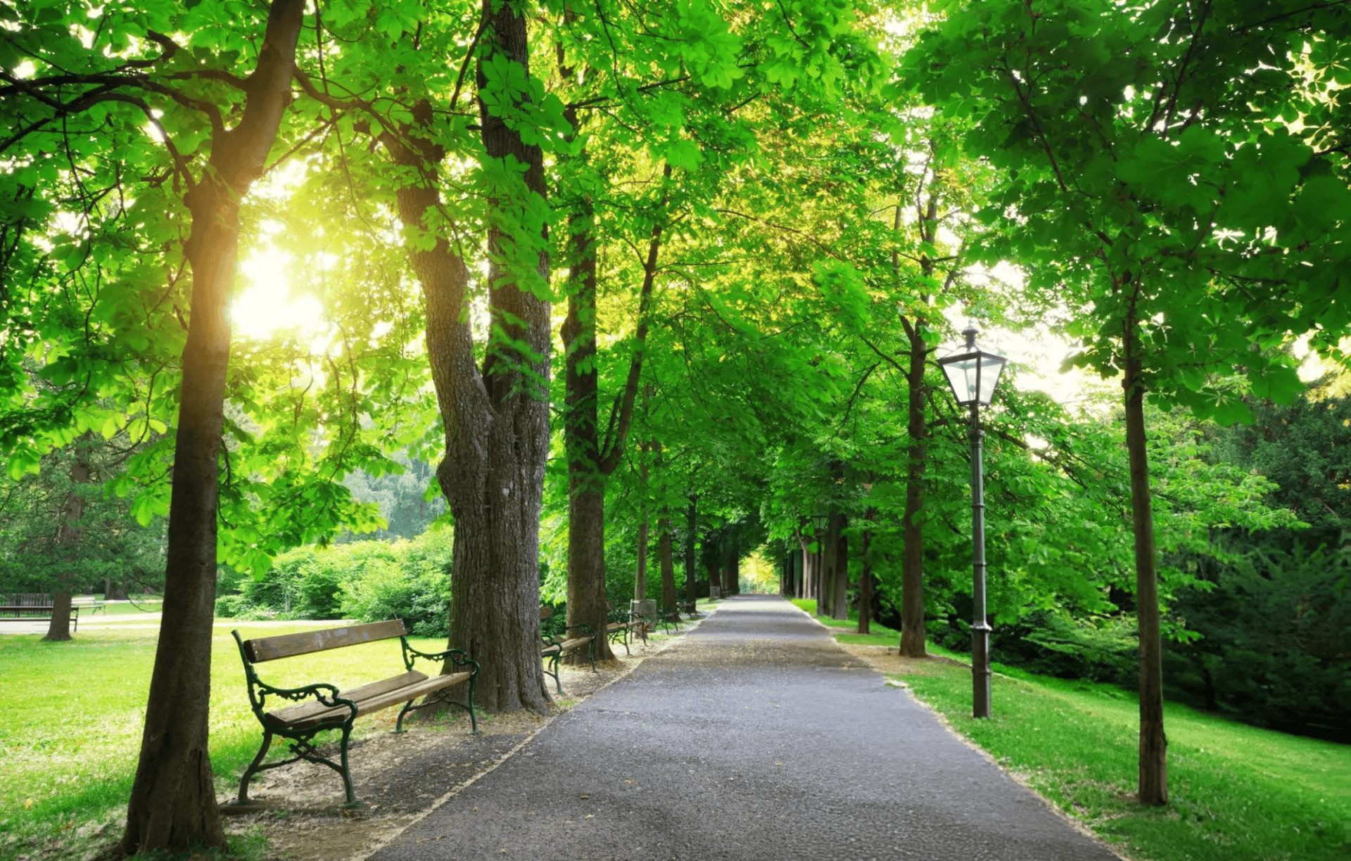 IRIS WOODS Plots for sale Hinjewadi , Pune ,